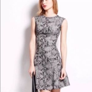 Ann Taylor Snake Print Dress
